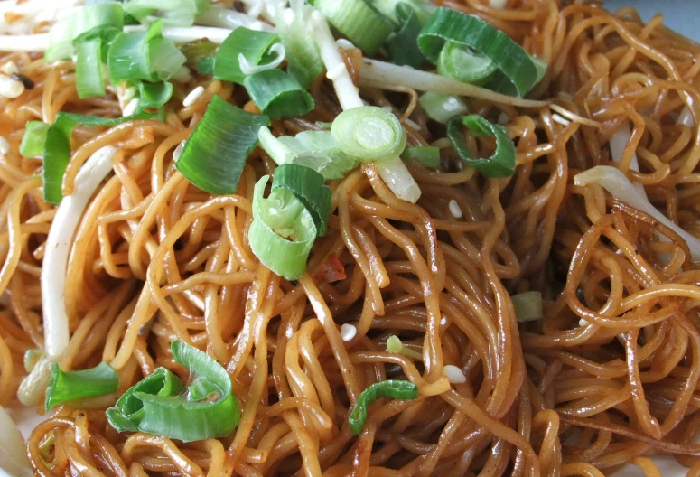 a plate of noodles and green onions are served on a plate