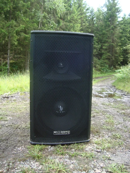 a speaker sitting in the middle of the forest