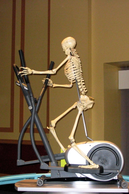 an image of a skeleton exercising on a bike