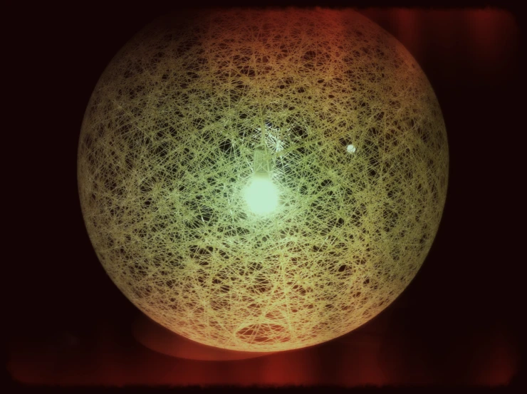 a picture of a fruit with all the visible dots