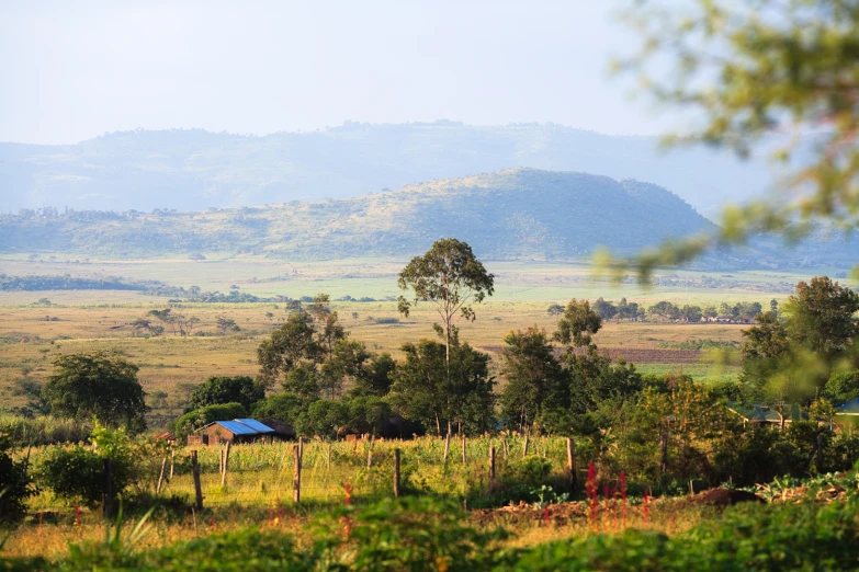 view of mountains and fields in the distance with trees and bushes