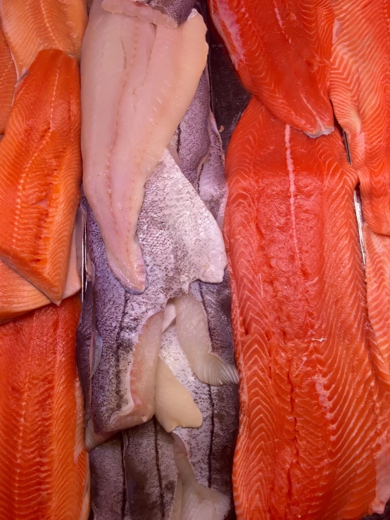 raw fish with orange and white colors are in a bucket