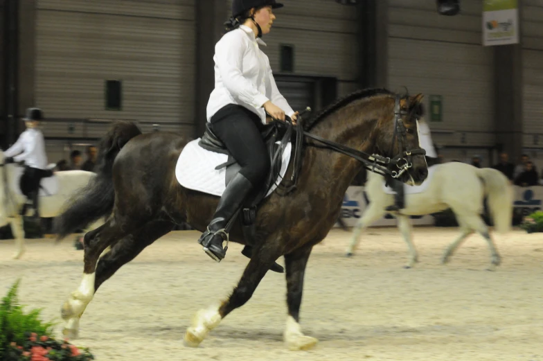 a woman on a horse with a black hat on