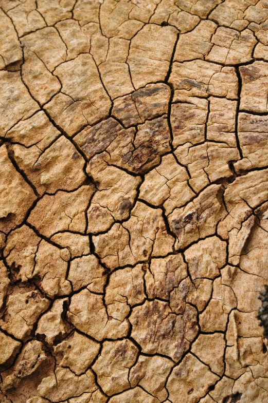 the surface of an old ed piece of wood