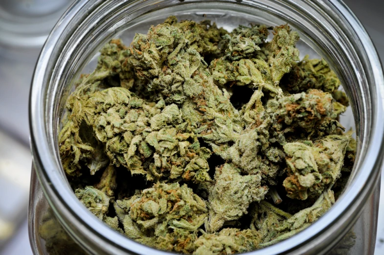 a full glass jar that has marijuana in it