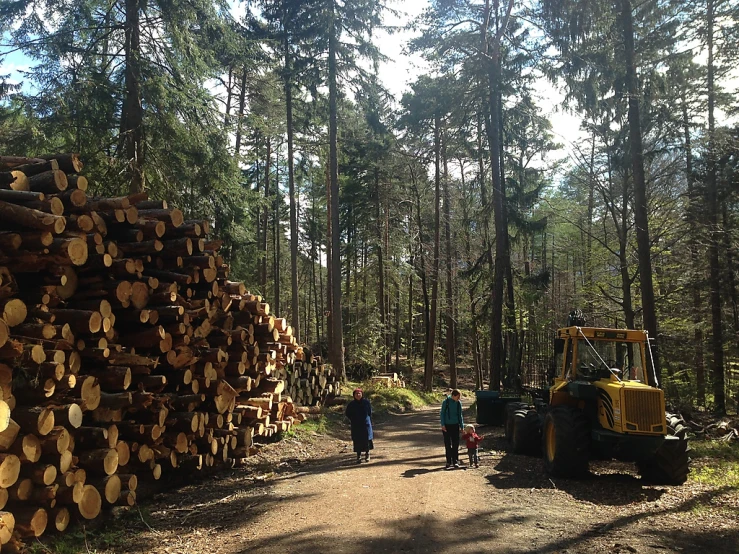 several people walking down a path in the forest with logs