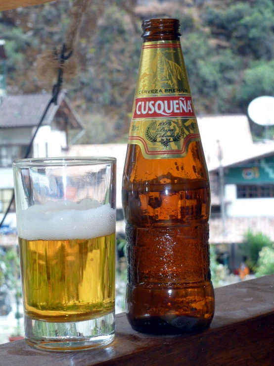 two beer bottles and a beer glass are on the shelf