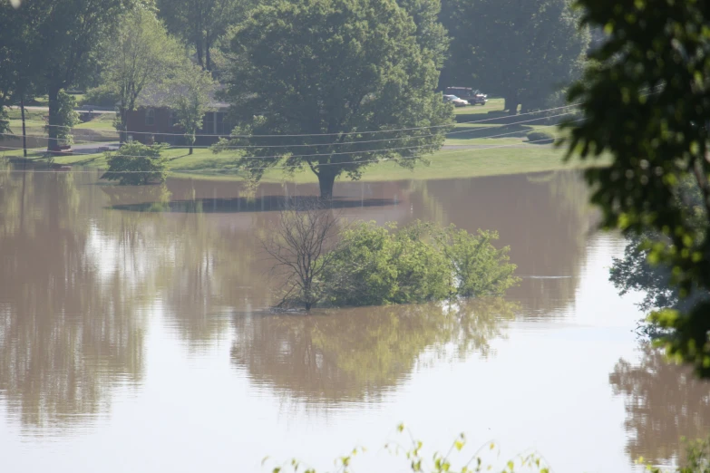 a flooded yard surrounded by trees and houses