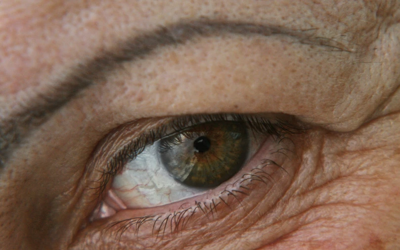 a person's eye looking in directly into the camera