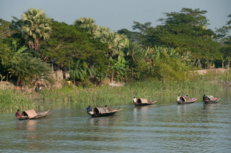 several large boats floating on a river next to tall grass