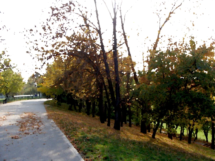 a pathway through an empty park with lots of trees