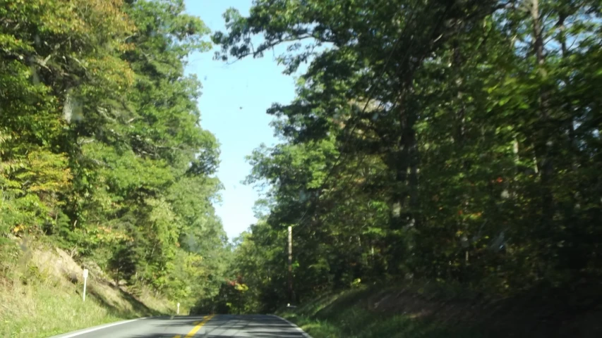 a view down a curved road near many trees