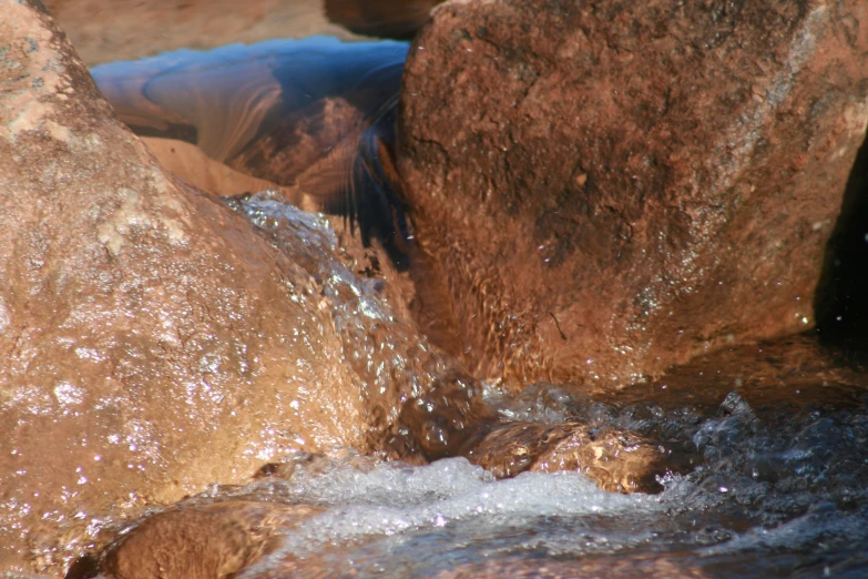 a bird on a big rock by the water