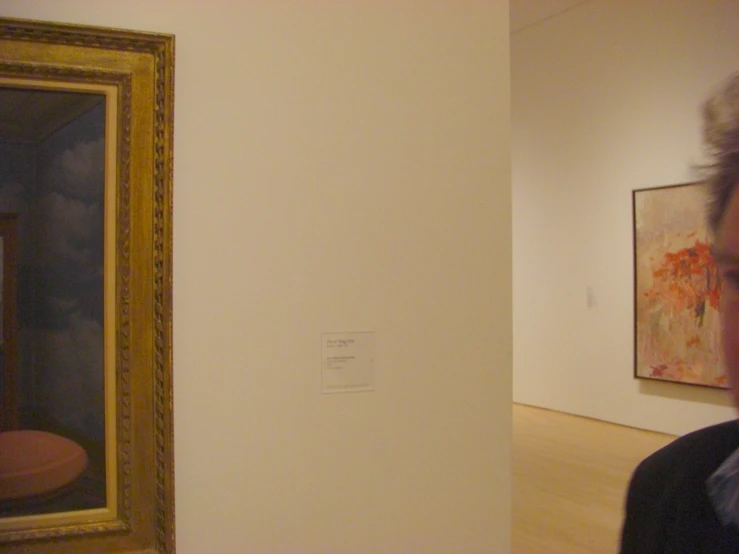 a person with a hat and glasses looking at a painting