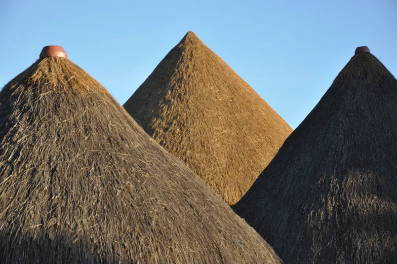 a couple of huts with thatched roofs