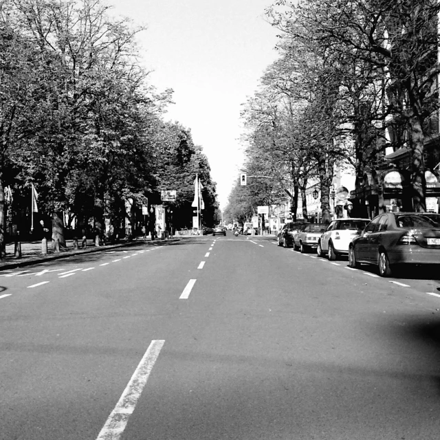 cars driving down a street lined with trees