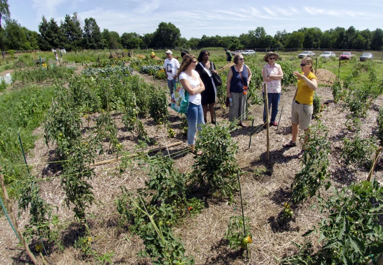 a group of people with rakes and some plants