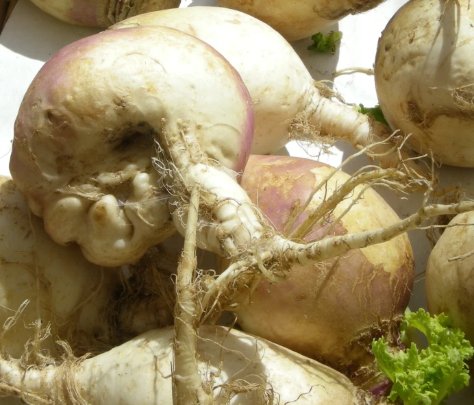 some turnips sitting on top of each other with roots