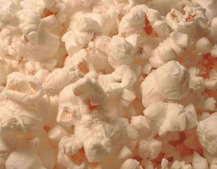 popcorn on a plate with some white stuff in the middle