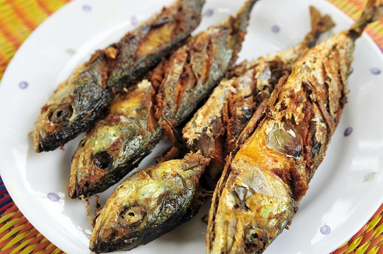 fried fish on a plate, ready to be eaten