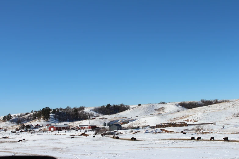 an animal farm with a sky background