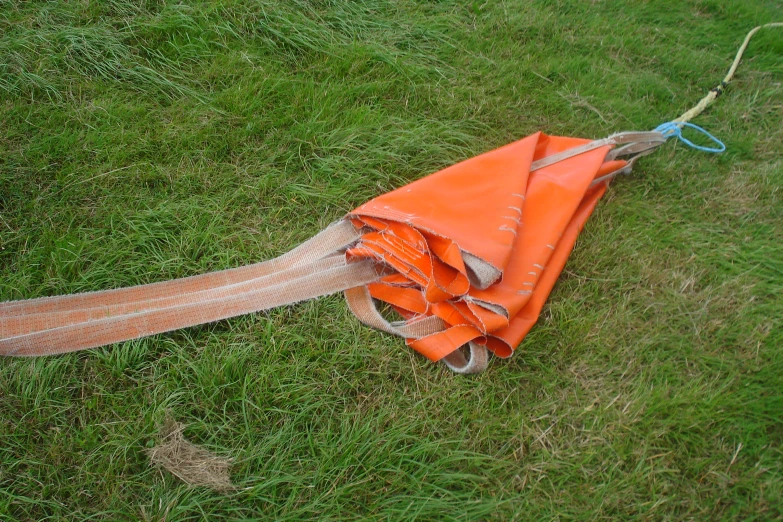 an orange object laying in a yard of grass
