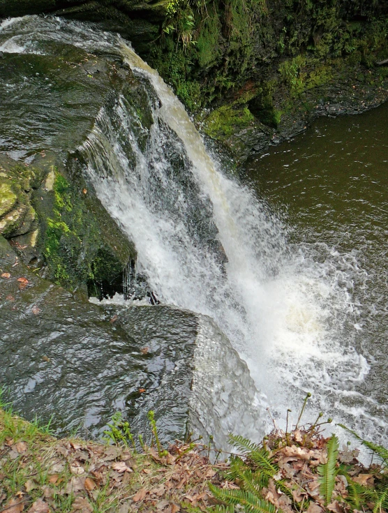 this is an image of the side of a small waterfall