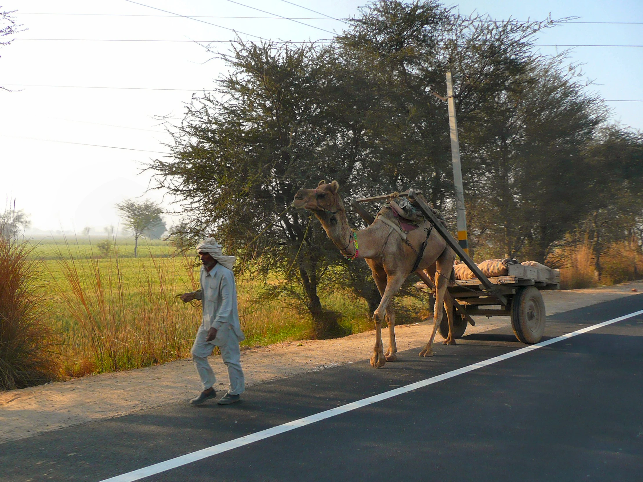 the man has a cart attached to his horse and buggy