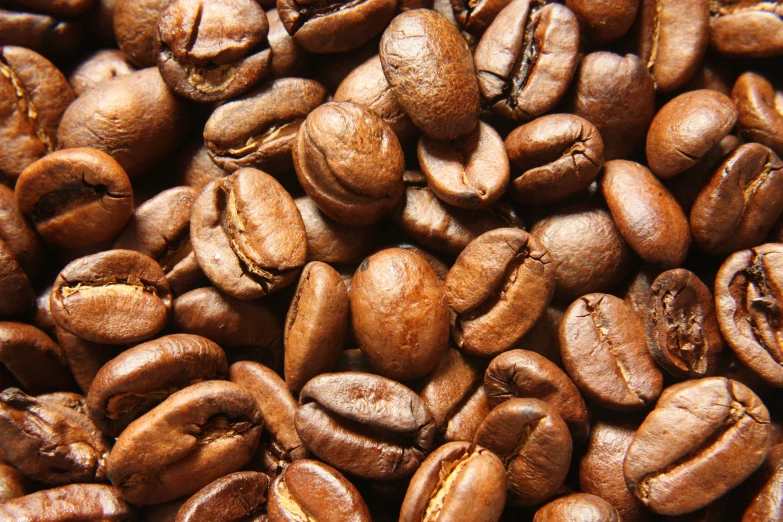 a pile of roasted coffee beans