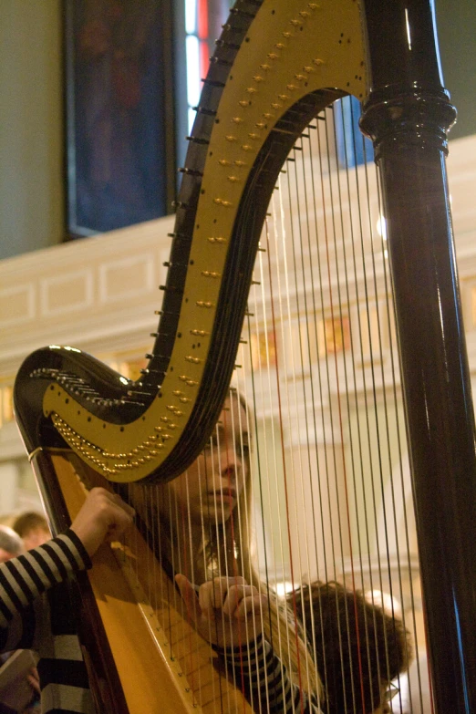 a woman playing a harp with some people in the background