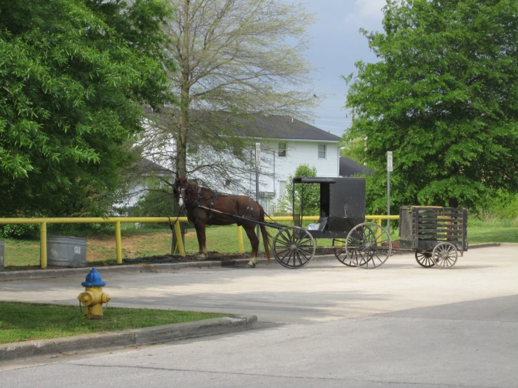 a horse drawn carriage with two horses and a person on a carriage