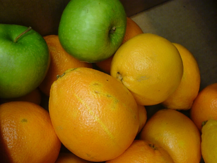 there are many oranges and an apple in this bin