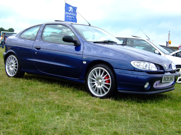 a blue car is parked on some grass