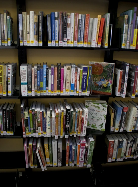 several rows of books are on the shelves