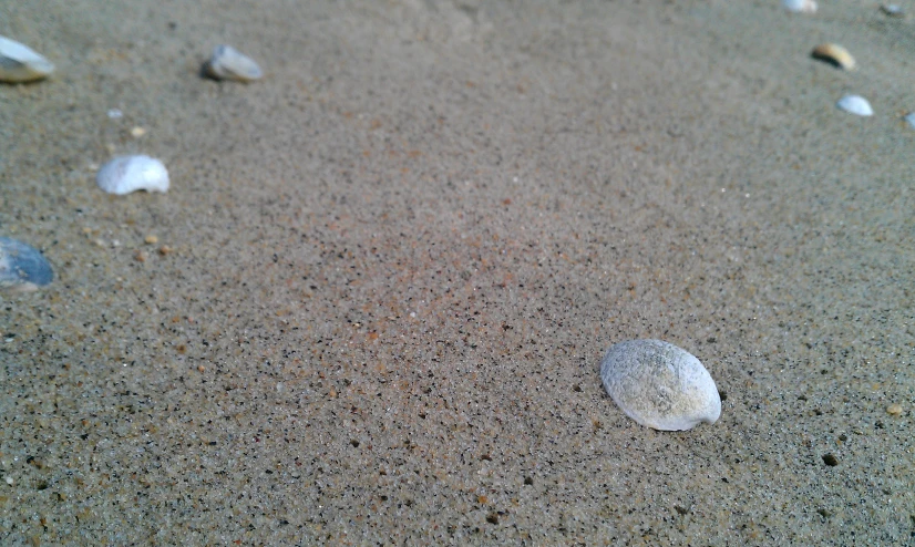 a lot of sand and a tiny glass ball