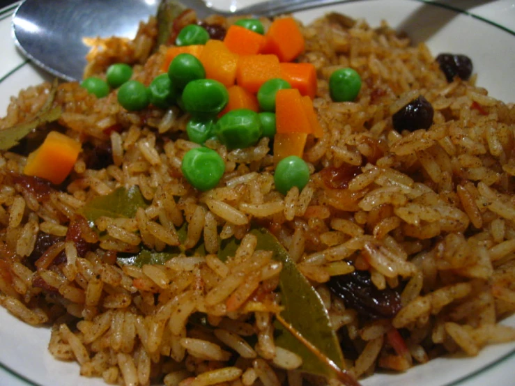 closeup of a plate with rice and vegetables