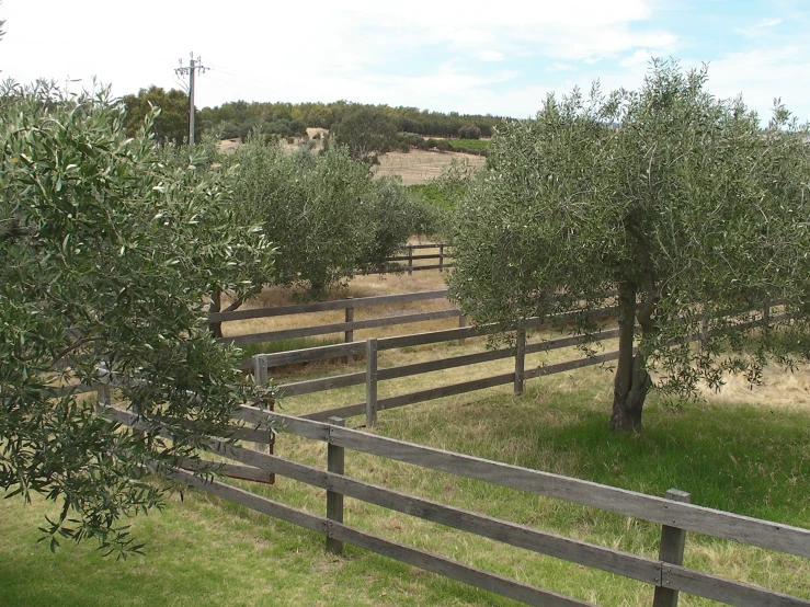 a fenced in area of grass and several trees