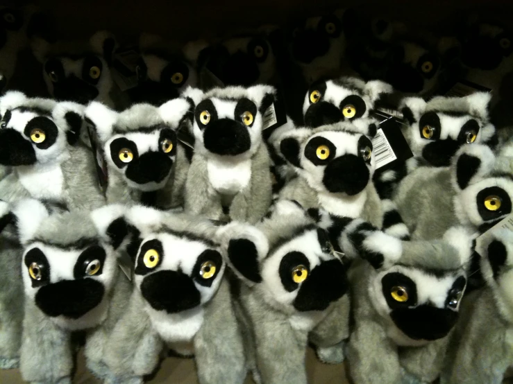 a large collection of plush black and white lemurs