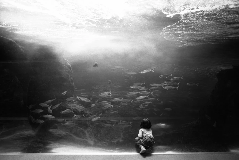 a child in white clothes and a bunch of fish