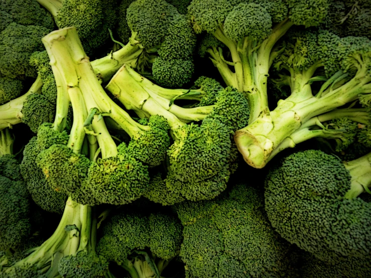 several heads of broccoli laying next to each other