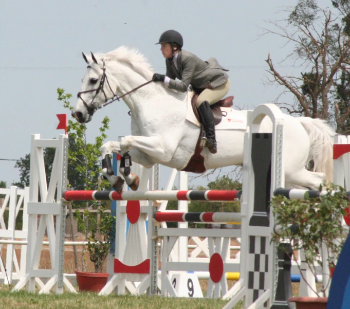 a man in equestrian clothing jumping a white horse over an obstacle