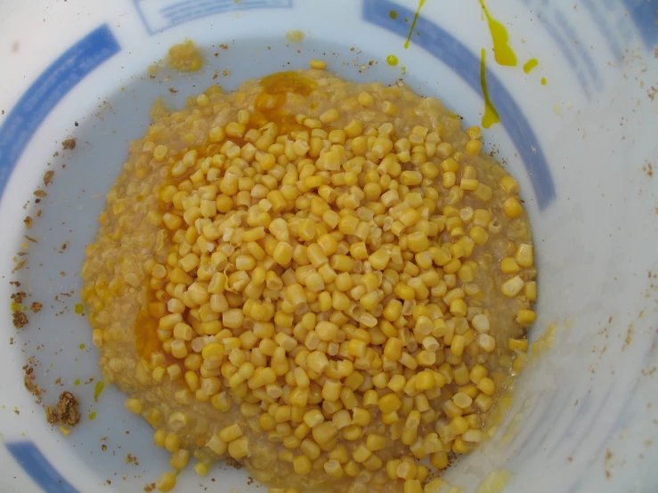 a blue and white bowl containing food inside