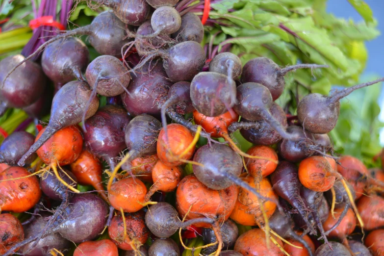 a large group of vegetables are in front of the camera