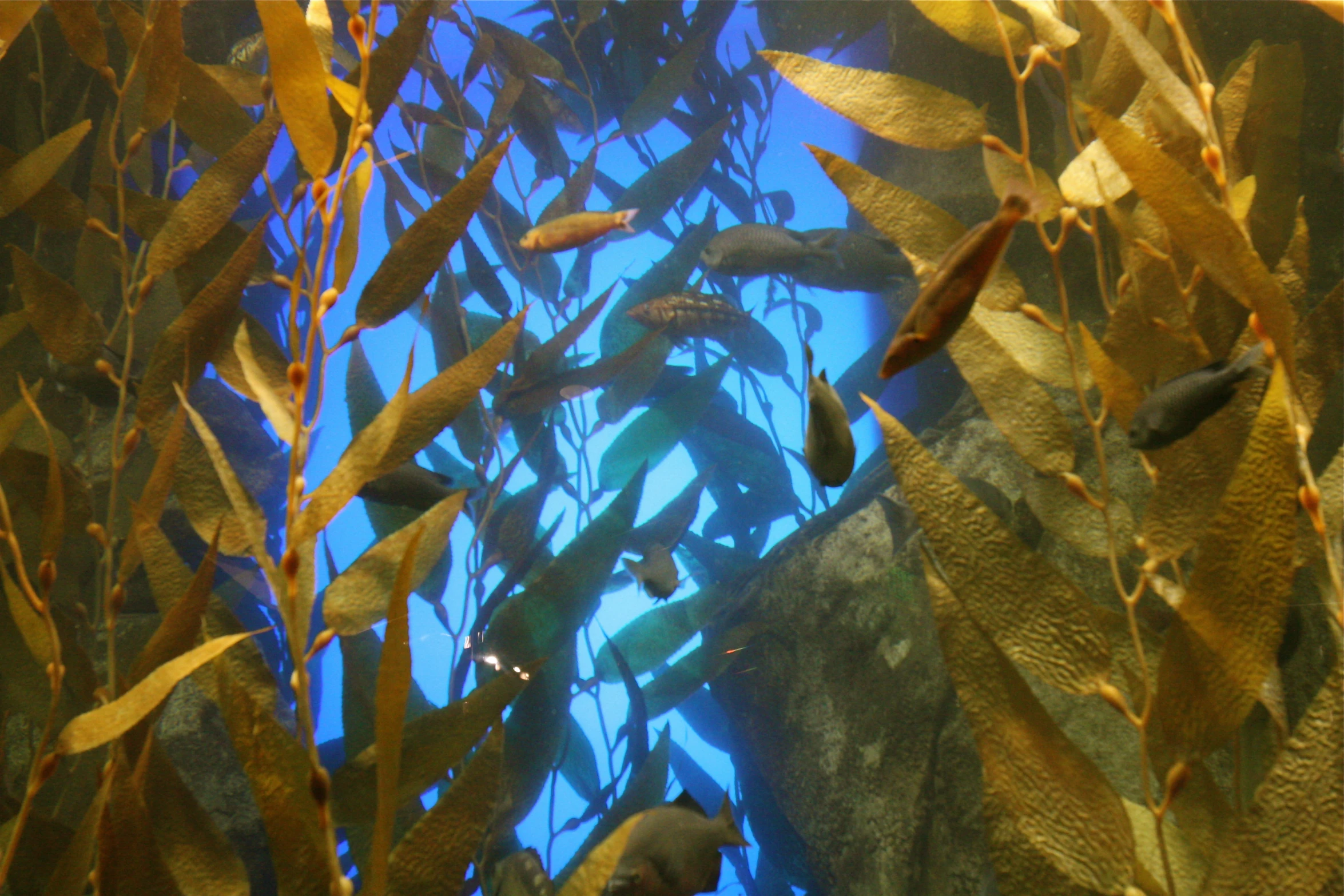 water and plants looking up into the air