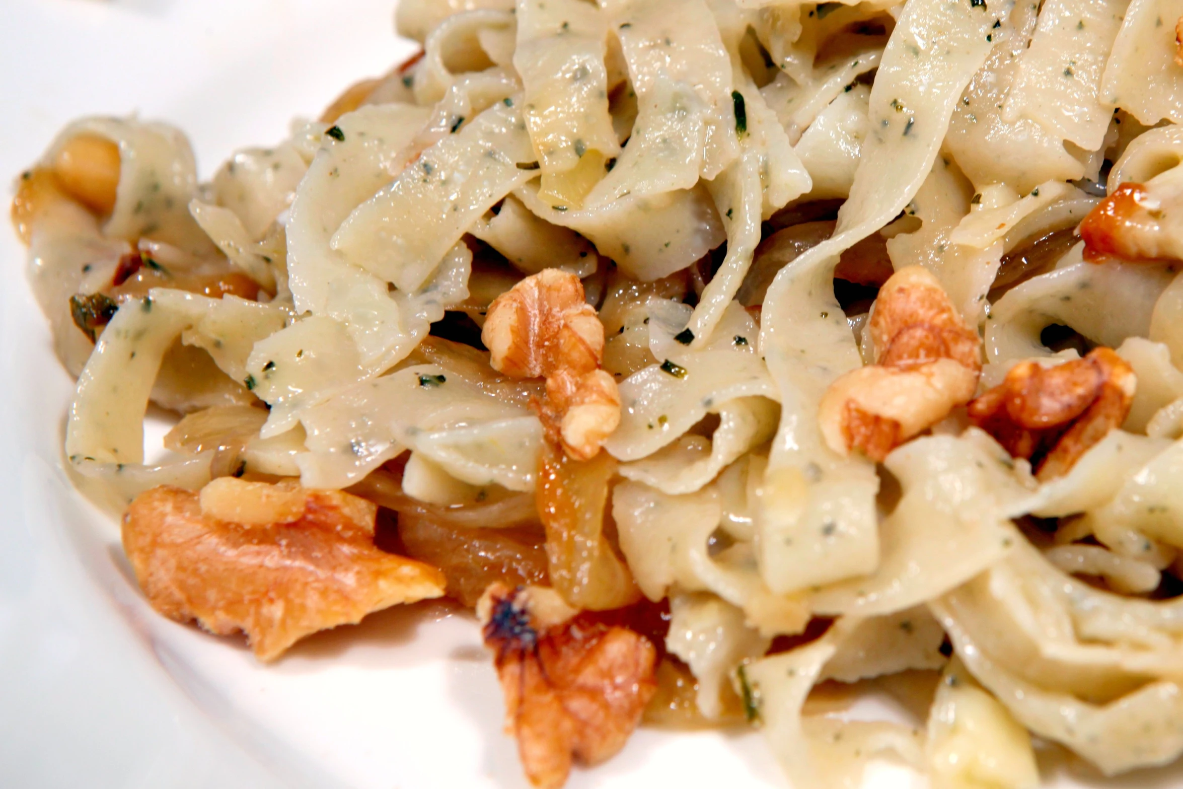 close up of a plate of pasta with tomato sauce