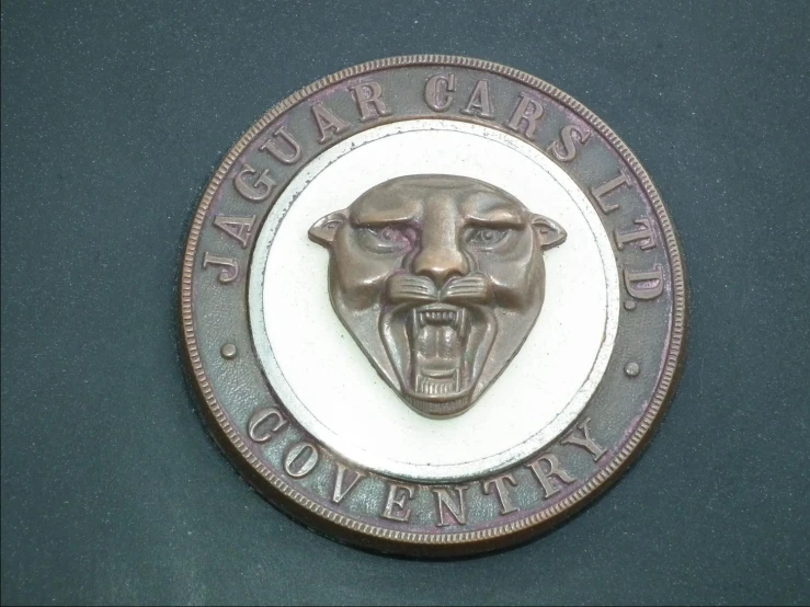 a plaque with the face of a jaguar