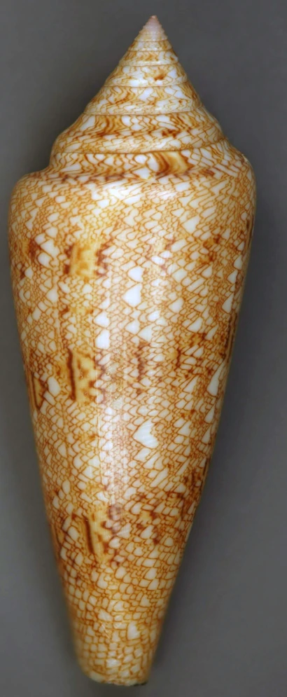 an orange vase has some decorative designs on it