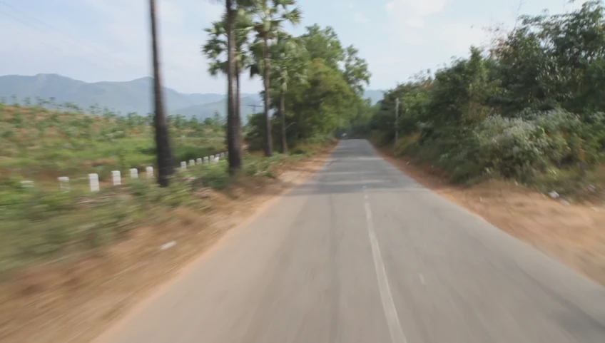 blurry image of road on cloudy day with palm trees