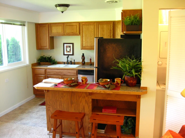 this kitchen is decorated with pots and plants