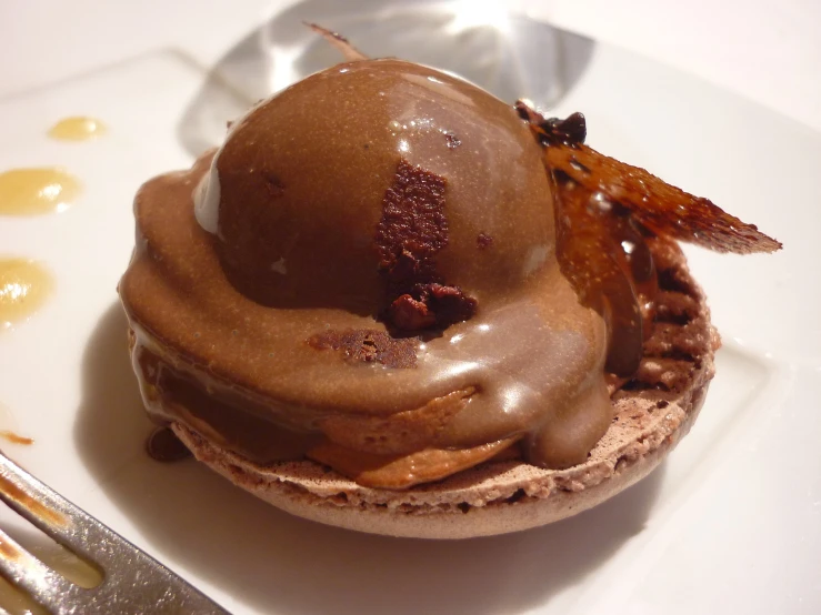 a dessert plate with ice cream and chocolate